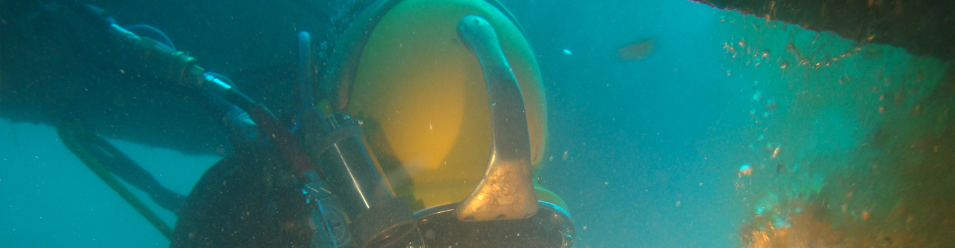 Sealines